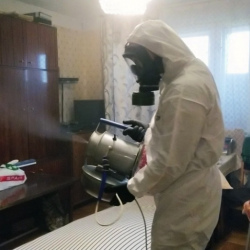 Дезинфекция от клопов в Гаджиево
