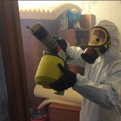 Уничтожение клопов в квартире. Гаджиево